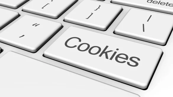 Τι είναι τα Cookies και γιατί είναι σημαντικά;